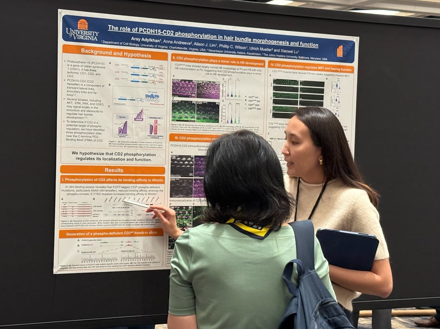 Aray presenting at ARO 2025